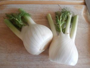 Fenchel