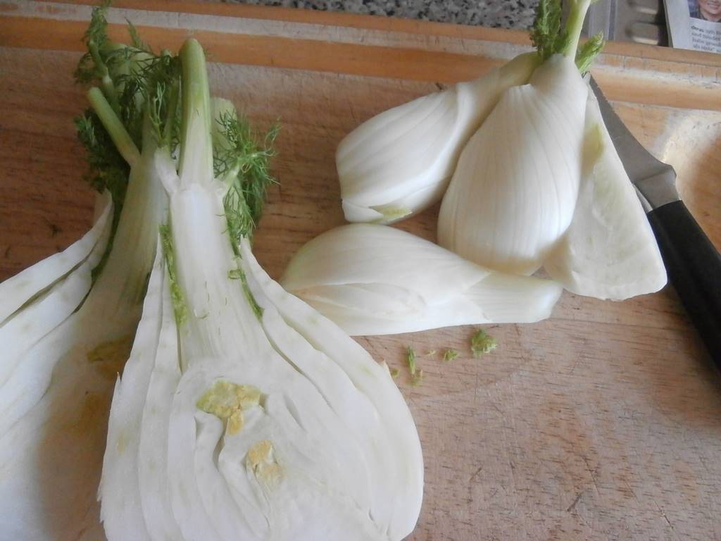 Fenchel